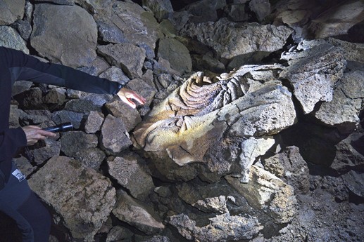 25 marzo La Cueva del Viento
